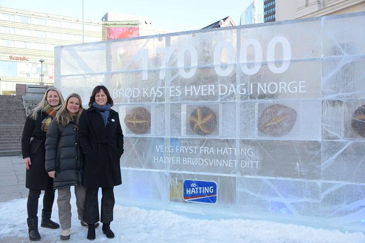 Brødsvinn - Hatting med isvegg ved Oslo S