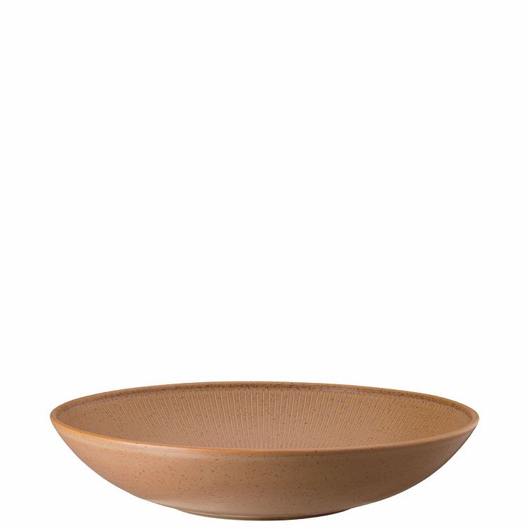 Thomas_Clay_Earth_plate.jpg