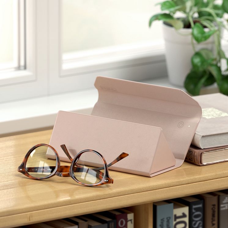 SATECHI_FINDALL_GLASSES_CASE_DESERTROSE_ENV2.jpg