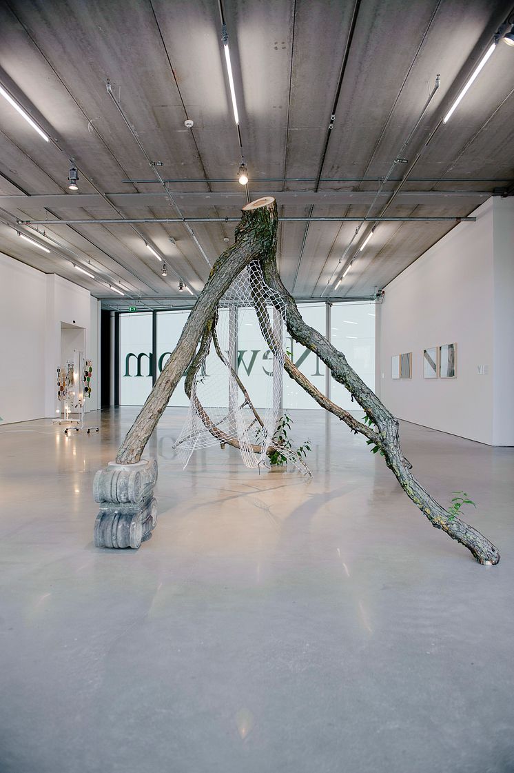 The Spiral and the Square, Rodrigo Matheus, Nature of construction, 2011