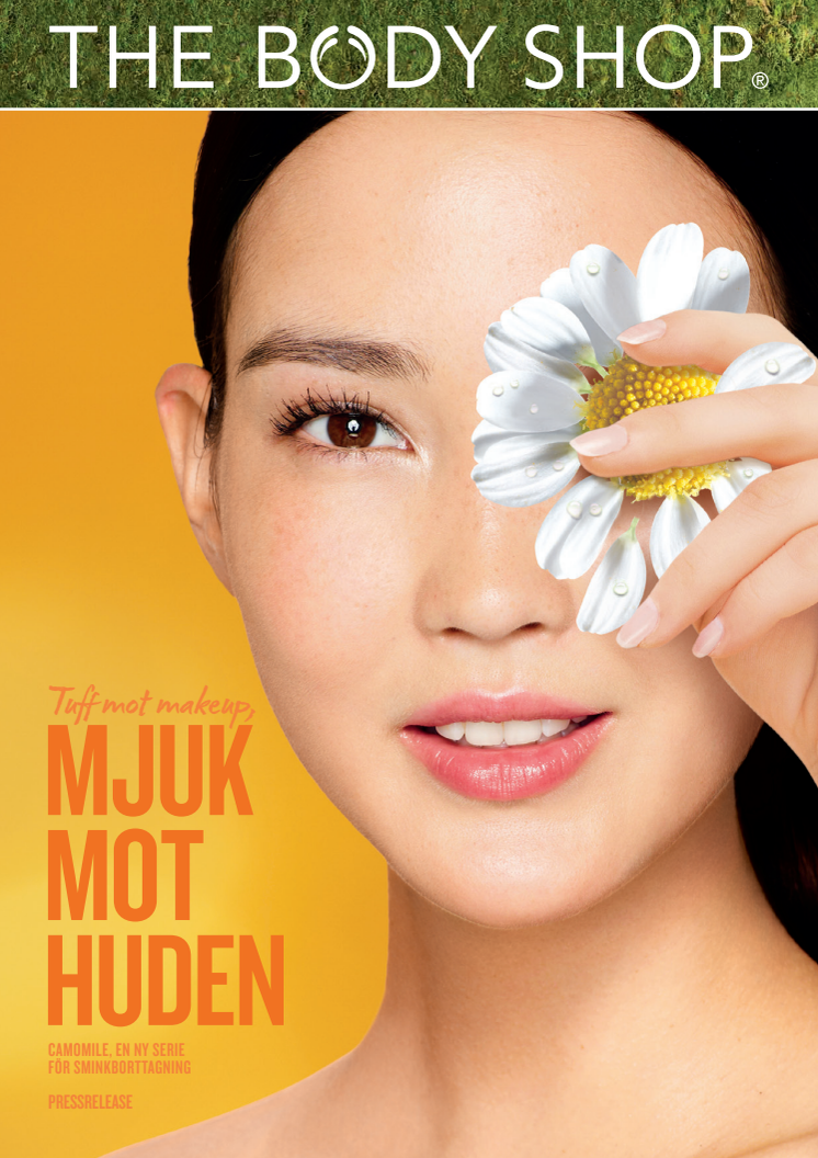 Upptäck kraften i Camomile