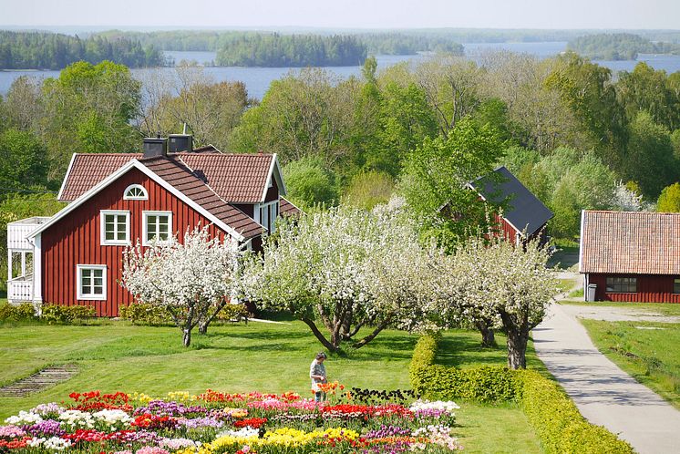 Utsikt över sjön Åsnen