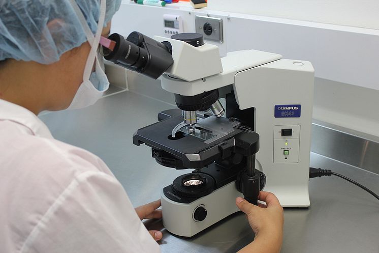 Laboratorium2.jpg