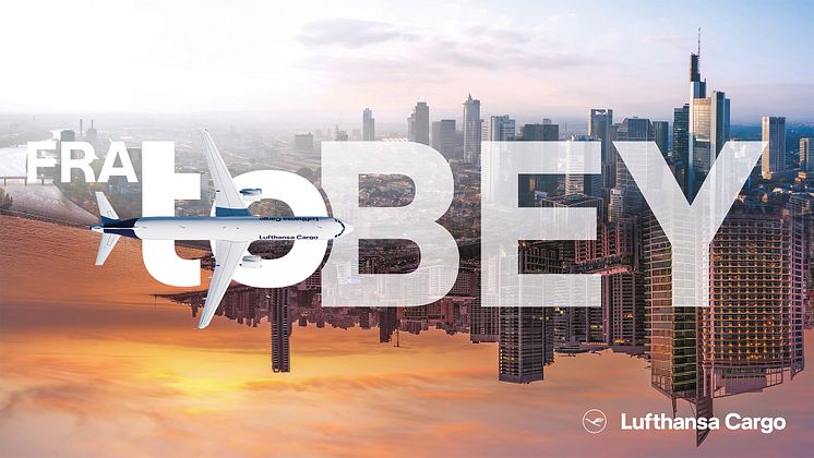 Network FRABEY