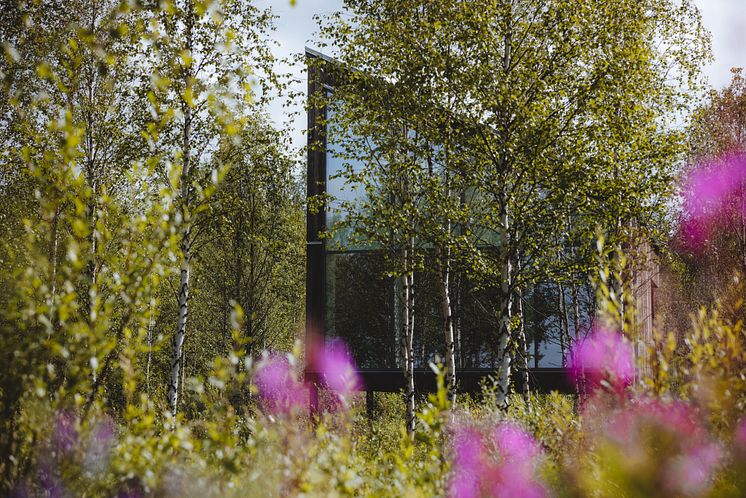Land Cabin in blooming nature