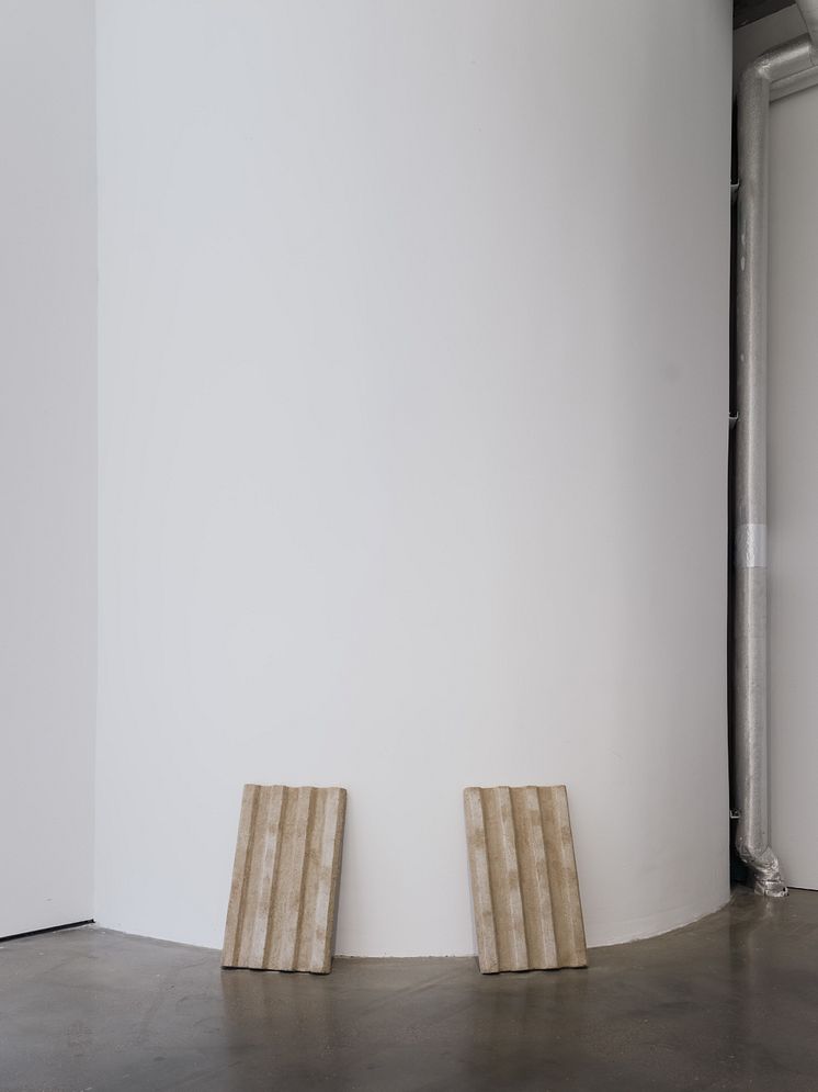 Mariana Ramos Ortiz, Estudio de una tormentera/Tormentera (182 Picaflor), 2023