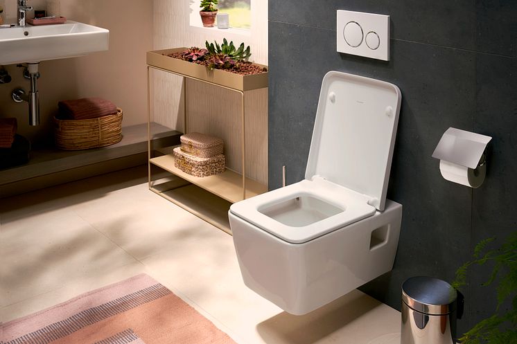 hansgrohe EluPura Original Q toilet