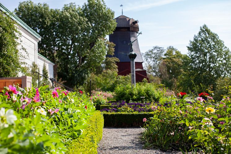 Galleriterassen augusti 2018 (2)