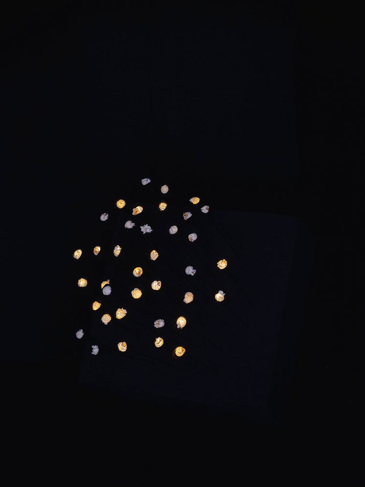 Peter Geschwind, After Image, 2023