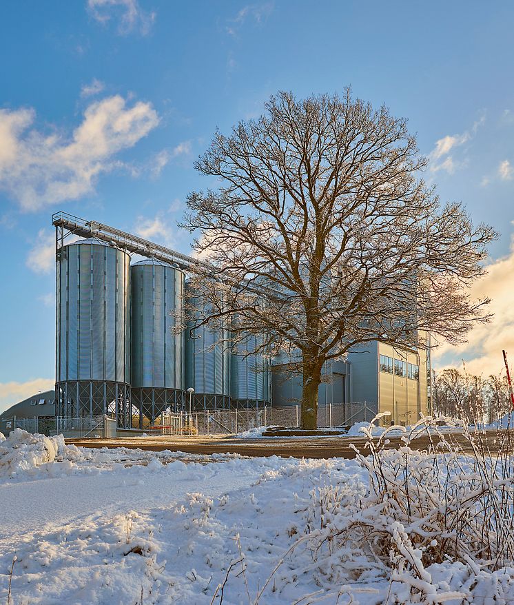 Berte Qvarn Vinter 2.jpg