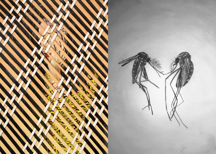 Mediumbild VERNISSAGE