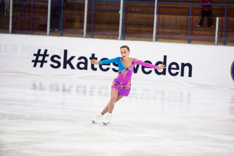Anastasia Schneider 2015-2016 Korta programmet