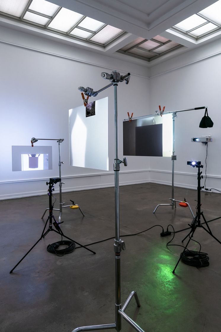 Eline Mugaas, Nødvendigheten av leddsetninger, Lorck Schive Kunstpris 2019.