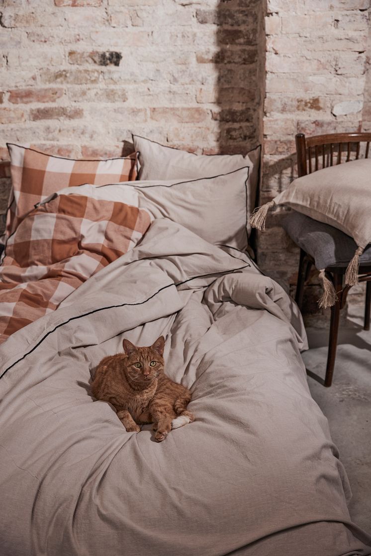 917751_Chambray bedset with cat.jpg