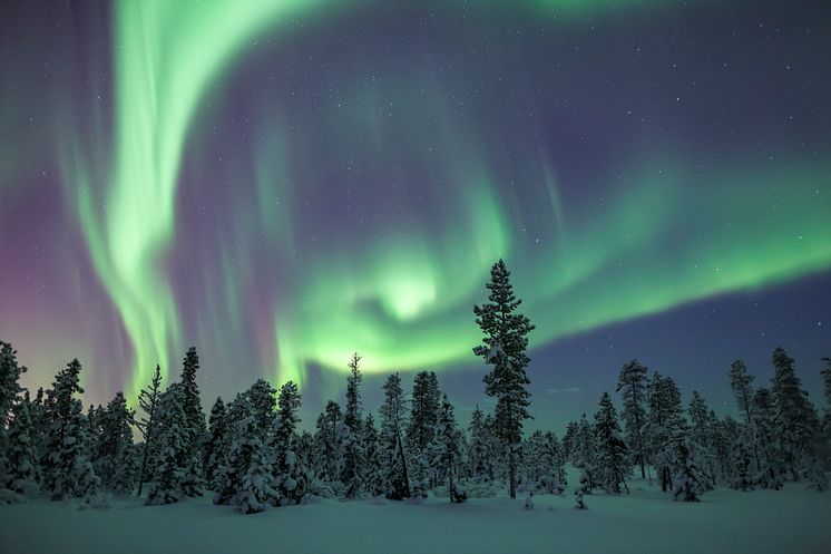 Norrsken, Foto: Joe Rainbow