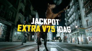 Elitloppet - Extra ombud