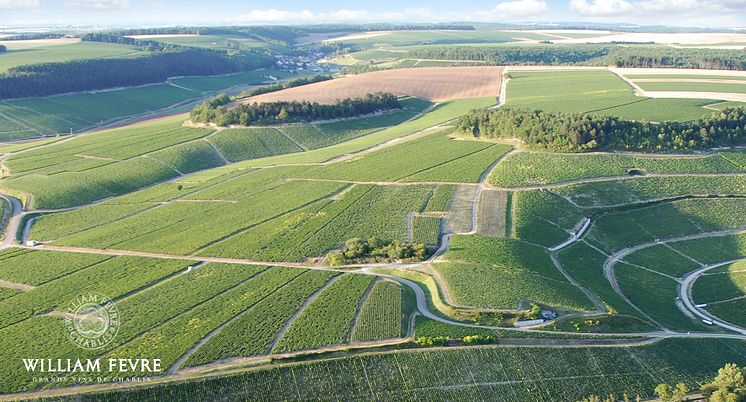 Chablis GC Les Preuse rL.jpg