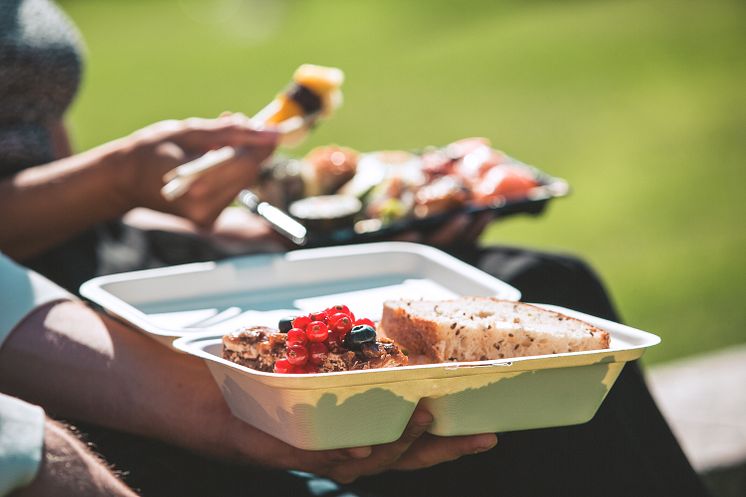 ResQ_takeaway_picnic.jpeg
