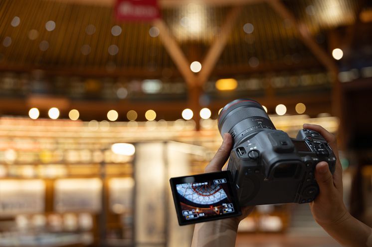 Canon RF20mmF1_4LVCM_LifeStyle_CINC_R62_2349EC[1].jpg
