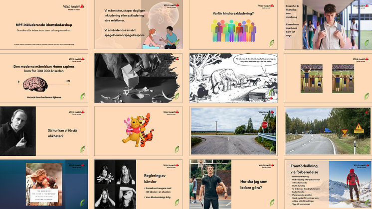 Collage Viggoakademin