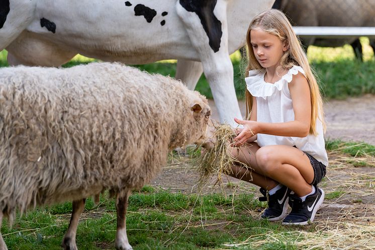 Barnens Bondgård i Skånes Djurpark