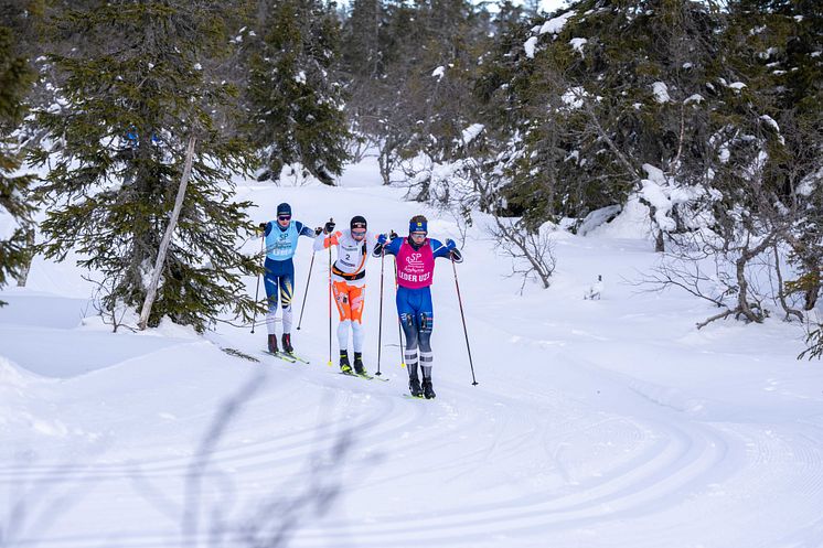 Trysil Skimaraton2025_Pressemelding-5.jpg