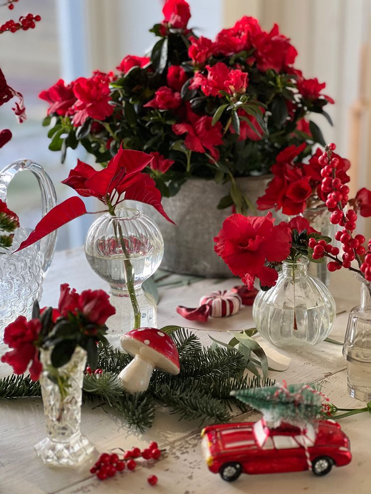 Julblommor_2024_klassiska