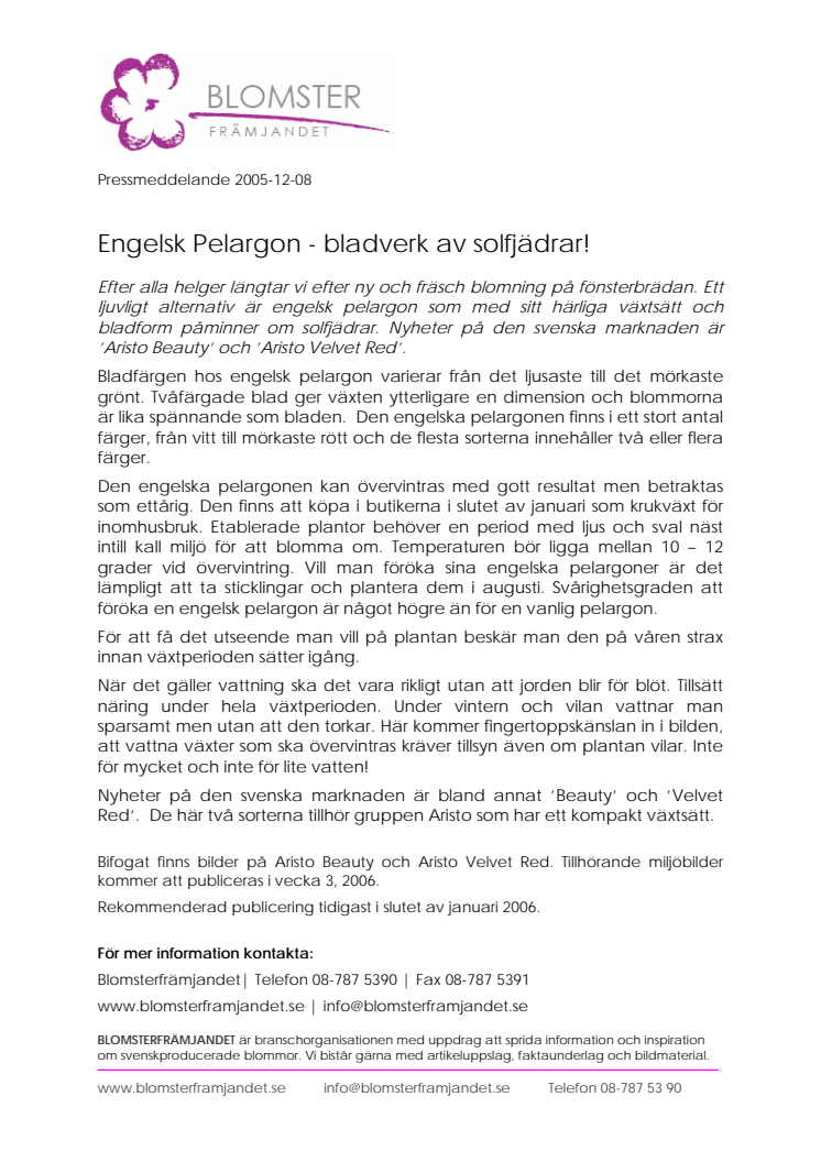 Engelsk pelargon - bladverk av solfjädrar