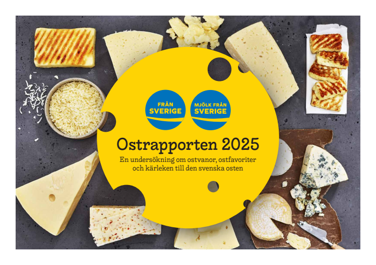 Ostrapporten_2025_webb.pdf