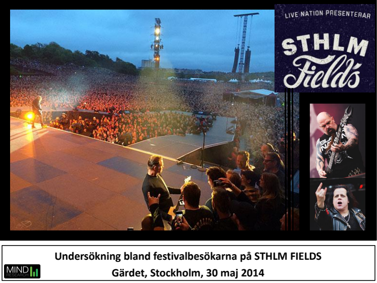 Rapport Stockholm Fields 2014