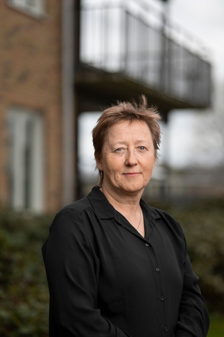 Ann-Christin Andersson Leeman, Medicinskt ansvarig sjuksköterska (MAS)