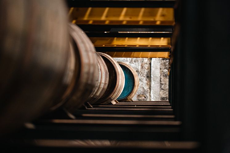 Barrels in row .jpg