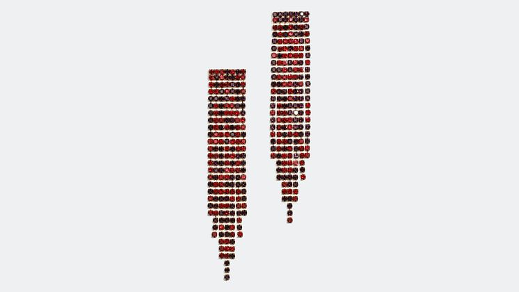 Earrings - 199 kr
