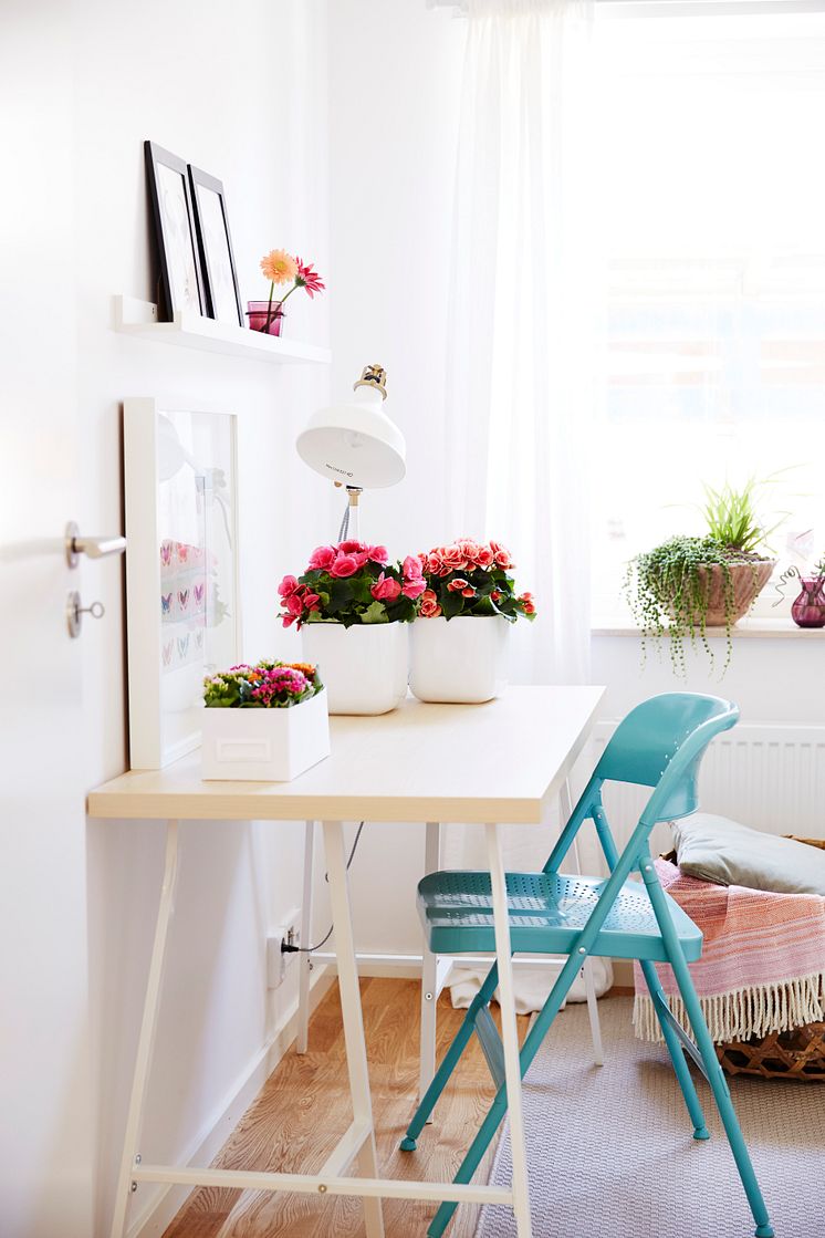 Inred med färgklickar som kalanchoe, begonia och gerbera.