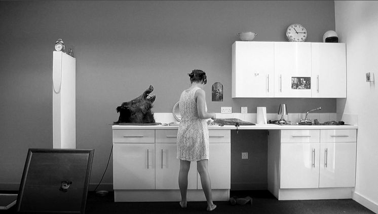 Laura Lima, Cinema Shadow "Unspecified", 2012.