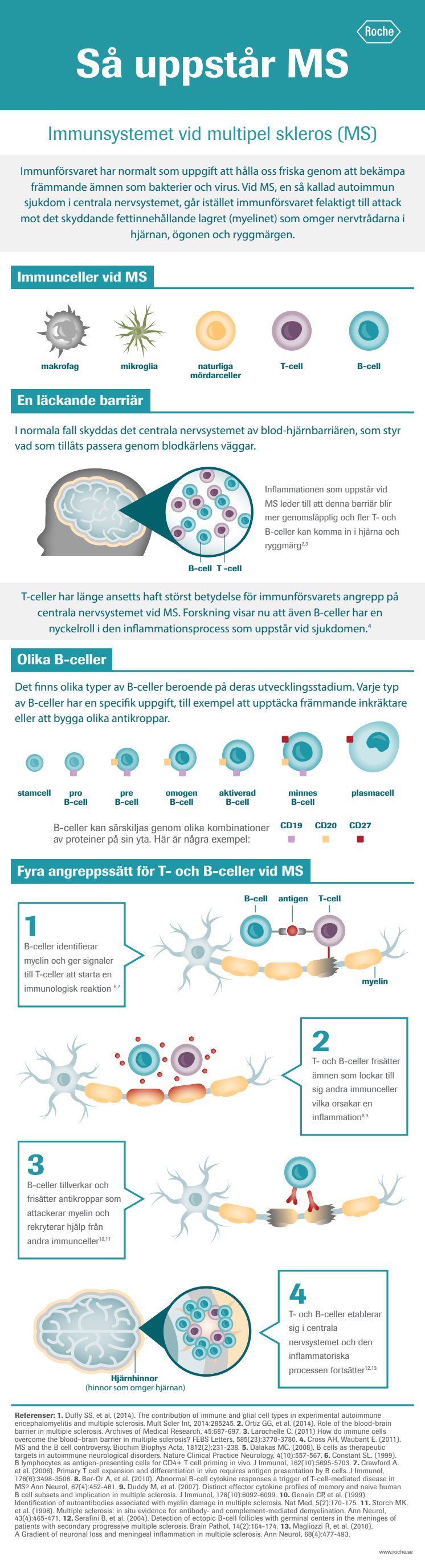 Infografik – Så uppstår MS, multipel skleros