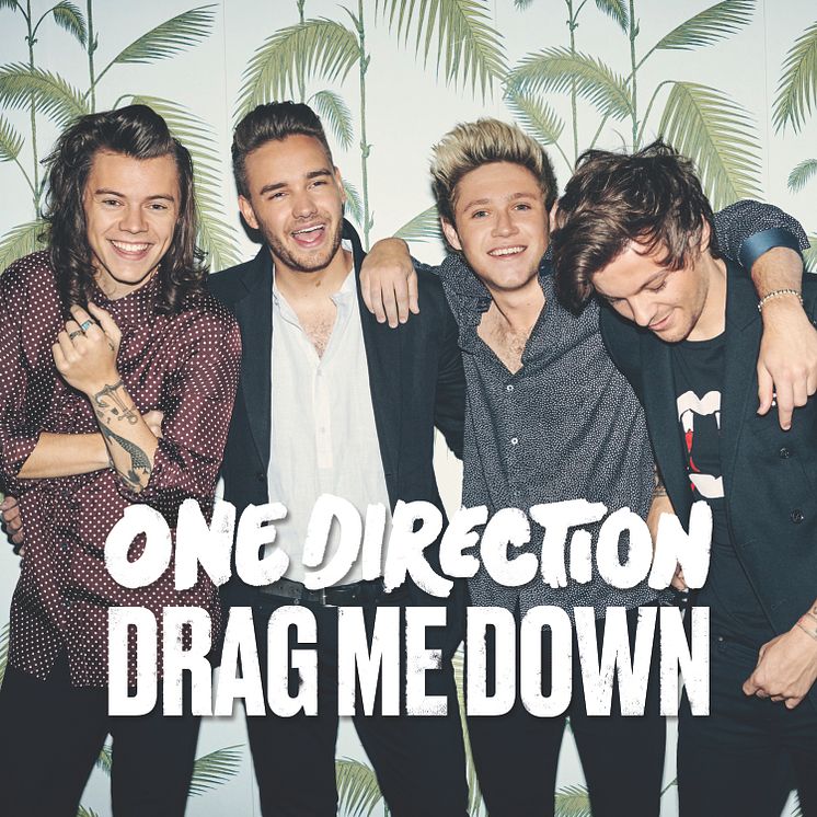 One Direction - Drag Me Down 