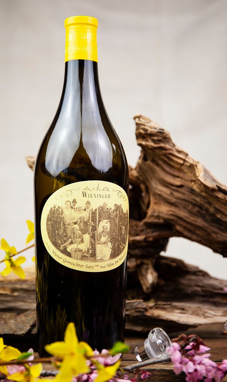 Wininger-Ried-Ulm