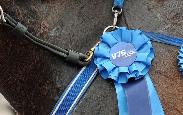 V75
