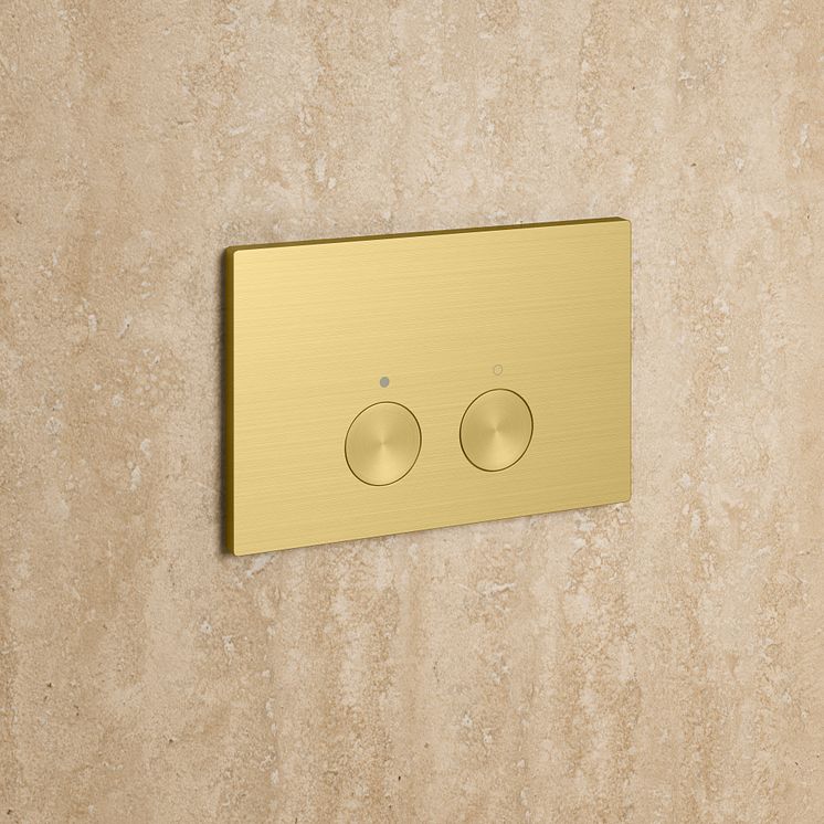AXOR FlushPlate