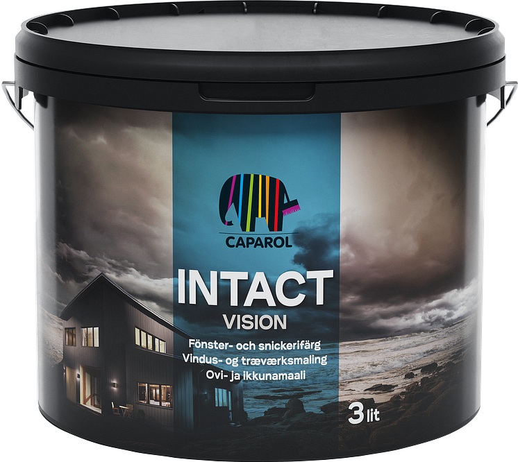 Intact Vision