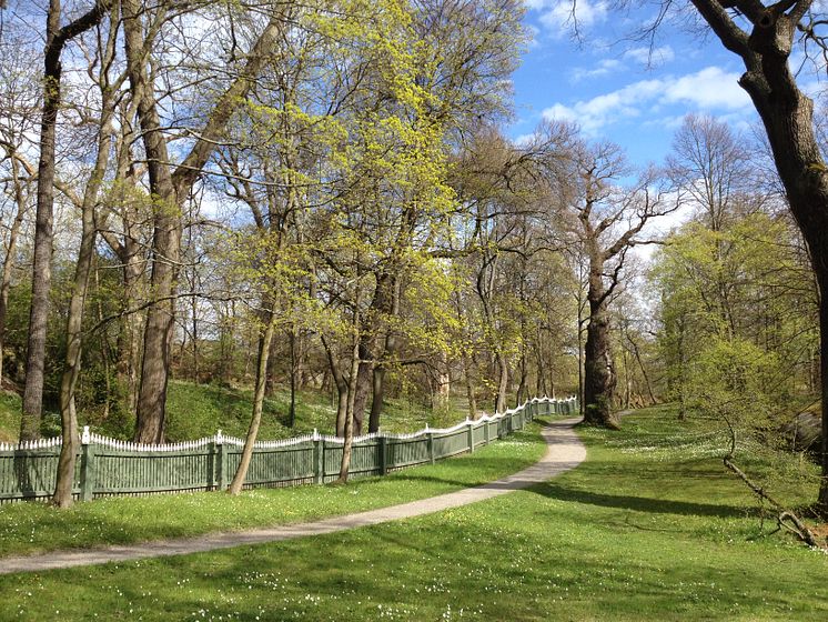 Foto 2015-04-27 15 34 57