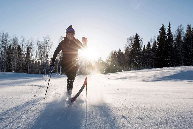 Pressbild Högbo Brukshotell & Spa_Högbo Ski Arena_2.jpg
