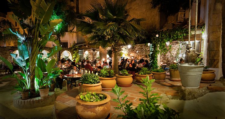 4. JardinVejer1