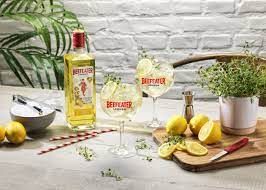 Zesty Lemon & Tonic