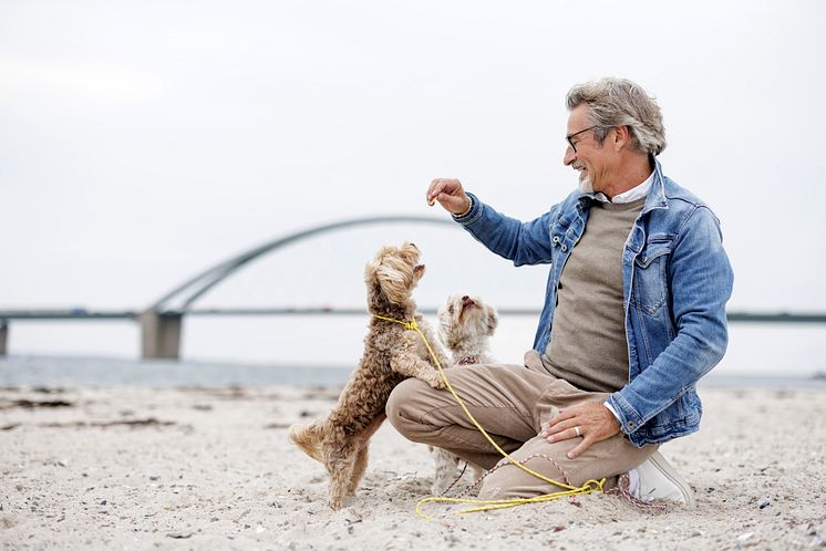 Urlaub mit Hund