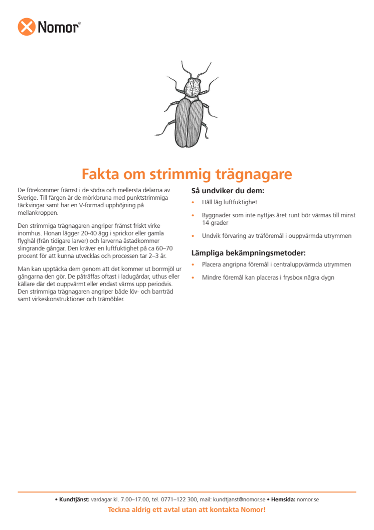 Fakta om strimmig trägnagare