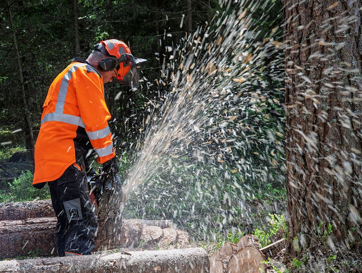 Elmia Wood 2025 - chainsaw.jpg