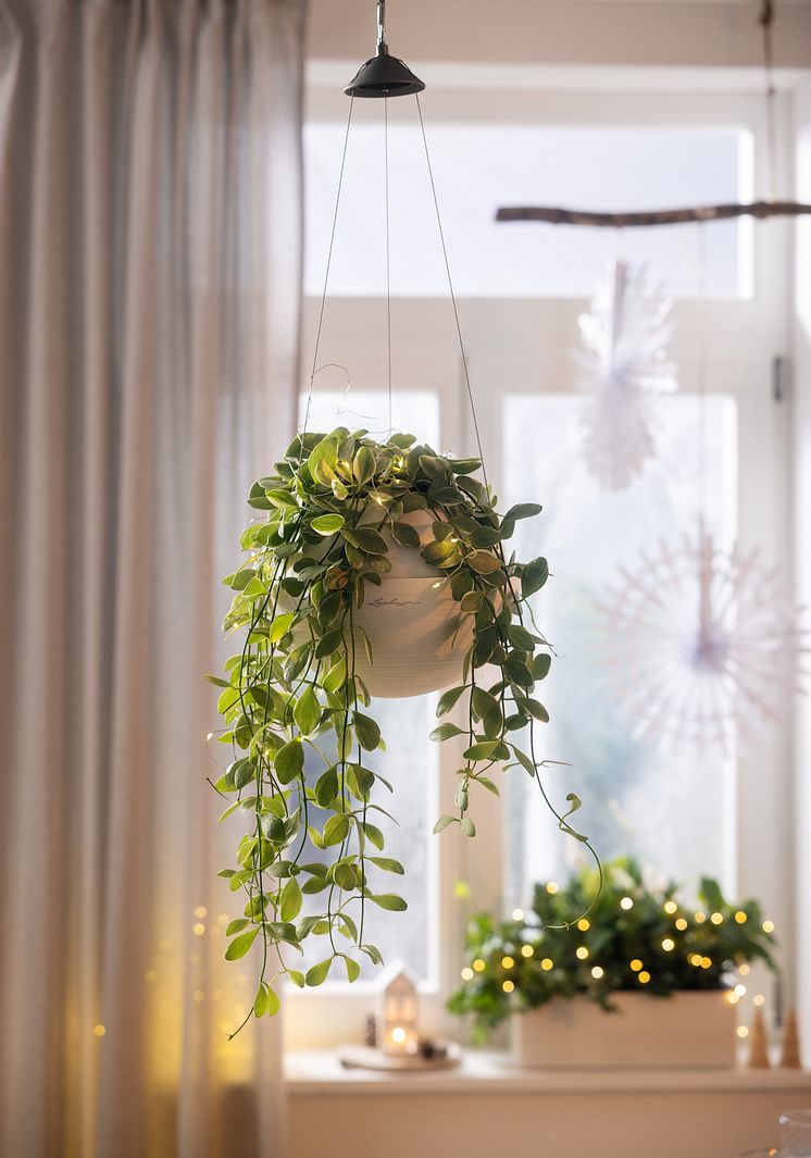LECHUZA_Weihnachten_2024_6949.jpg