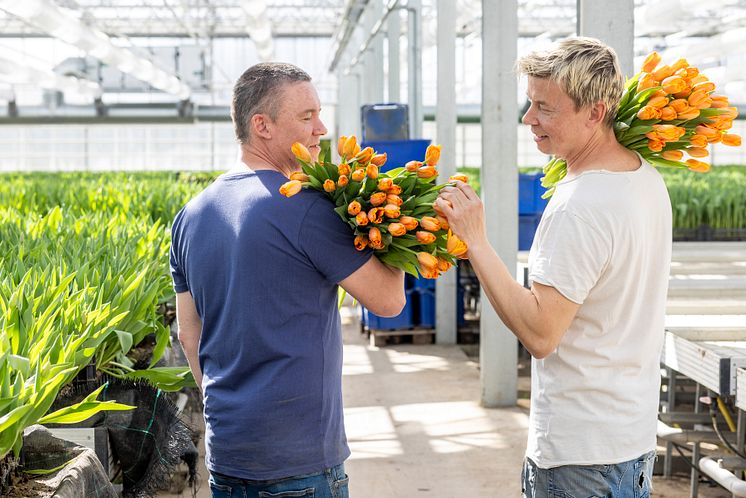 Olles Blommor